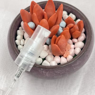 De Pompspuitbus 11/410 van het mistparfum Aangepaste Kleur met Volledige pp GLB